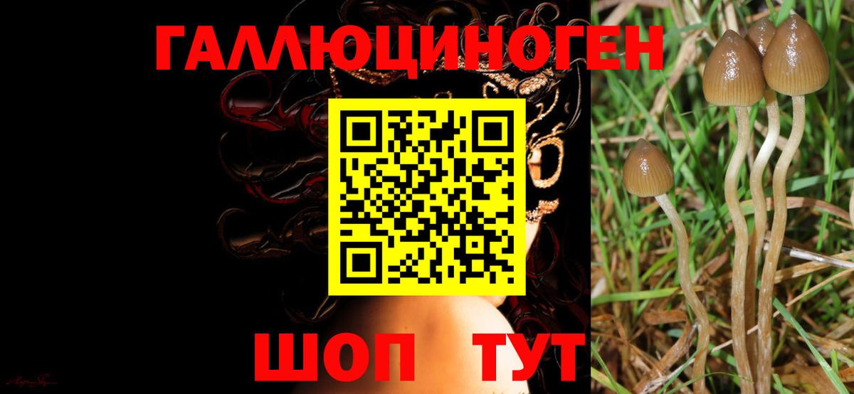 Шебекино  Галлюциногенные грибы Magic Shrooms  Вход с VPN  Галлюциногенные грибы ЛСД 