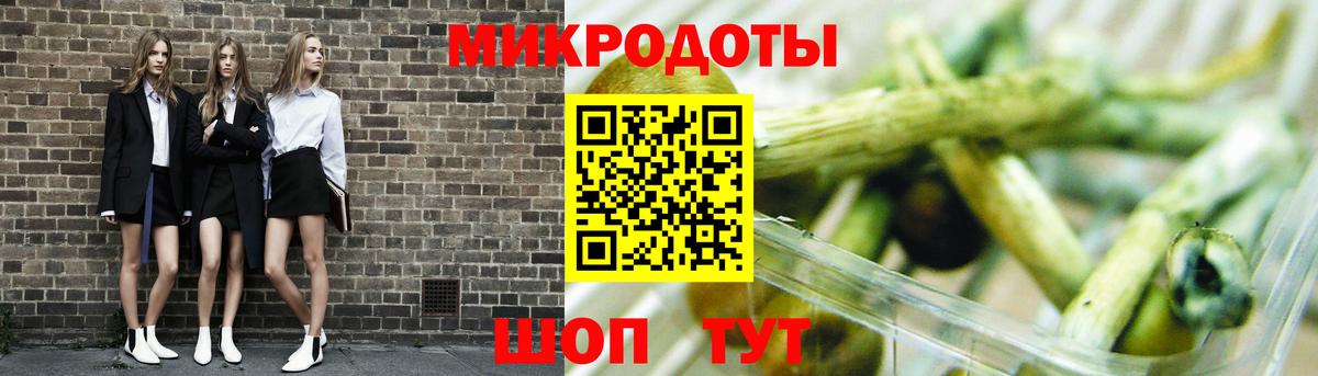 Псилоцибиновые грибы мицелий Шебекино